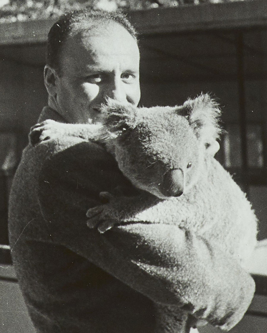 Pierre Balmain with a koala Travel